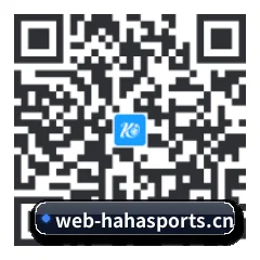 系统版 iOS 二维码